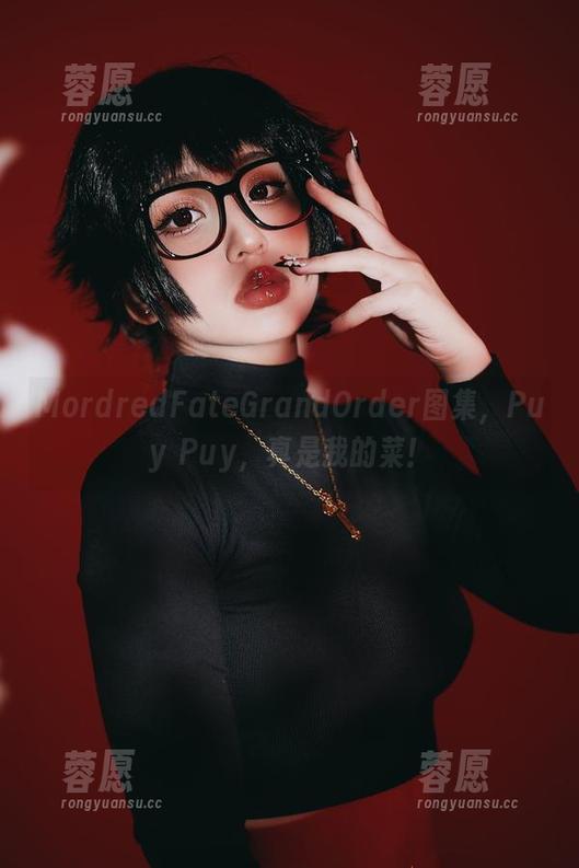 MordredFateGrandOrder图集，Puy Puy，真是我的菜！